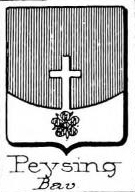 Peysing Coat of Arms / Family Crest 0
