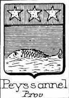 Peyssonnel Coat of Arms / Family Crest 0
