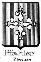 Pfahler Coat of Arms / Family Crest 4