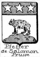 Pfeffer Coat of Arms / Family Crest 3
