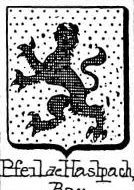 Pfeil Coat of Arms / Family Crest 9