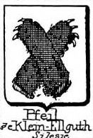 Pfeil Coat of Arms / Family Crest 10