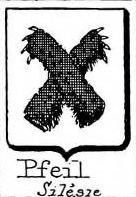 Pfeil Coat of Arms / Family Crest 6