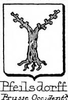 Pfeilsdorff Coat of Arms / Family Crest 1