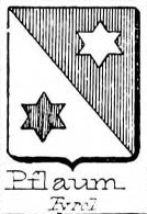 Pflaum Coat of Arms / Family Crest 2