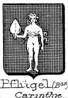 Pflugel Coat of Arms / Family Crest 0