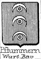 Pflummern Coat of Arms / Family Crest 0