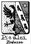 Picalei Coat of Arms / Family Crest 0