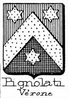 Pignolati Coat of Arms / Family Crest 1