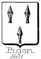 Pigon Coat of Arms / Family Crest 1