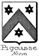 Pigousse