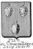 Piis Coat of Arms / Family Crest 1