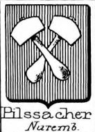 Pilssacher Coat of Arms / Family Crest 0