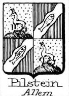 Pilstein Coat of Arms / Family Crest 0