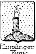Pimpfinger