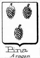 Pina Coat of Arms / Family Crest 3