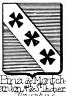 Pina Coat of Arms / Family Crest 5