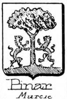 Pinar Coat of Arms / Family Crest 0