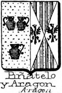 Pinatelo Coat of Arms / Family Crest 0