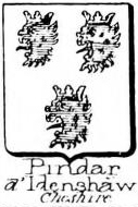 Pindar Coat of Arms / Family Crest 4