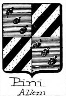 Pini Coat of Arms / Family Crest 2