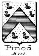Pinod
