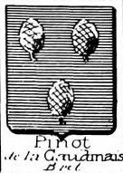 Pinot Coat of Arms / Family Crest 2