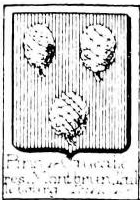 Pins Coat of Arms / Family Crest 3