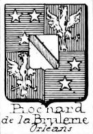 Piochard Coat of Arms / Family Crest 0
