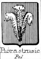 Piorastrusic Coat of Arms / Family Crest 0