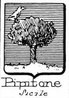 Pipitone Coat of Arms / Family Crest 1