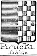 Pirucki Coat of Arms / Family Crest 0