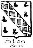 Piton Coat of Arms / Family Crest 0