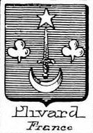 Plivard Coat of Arms / Family Crest 0