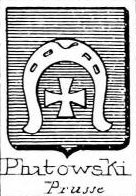 Plutowski Coat of Arms / Family Crest 0