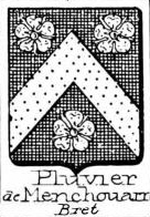 Pluvie Coat of Arms / Family Crest 0