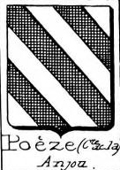Poeze Coat of Arms / Family Crest 0