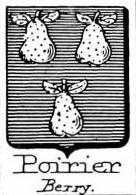 Poirier Coat of Arms / Family Crest 0