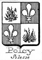 Poley Coat of Arms / Family Crest 2