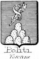 Politi Coat of Arms / Family Crest 2