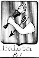 Polota Coat of Arms / Family Crest 0