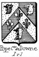 Pope Coat of Arms / Family Crest 0