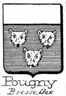 Pougny Coat of Arms / Family Crest 0