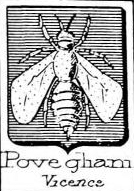 Povegliani Coat of Arms / Family Crest 0
