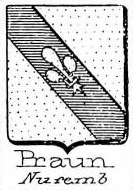 Praun Coat of Arms / Family Crest 2