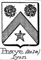 Praye Coat of Arms / Family Crest 1