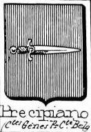 Precipiano Coat of Arms / Family Crest 0