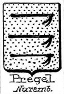 Pregel Coat of Arms / Family Crest 6