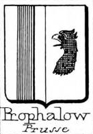 Prophalow Coat of Arms / Family Crest 1