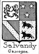 Salvandy Coat of Arms / Family Crest 0